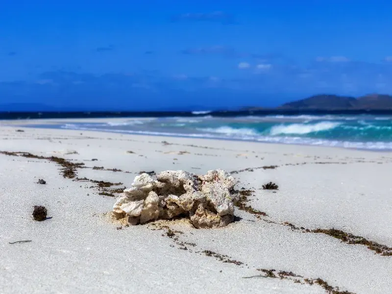 9 Days in Fiji: A Private Luxury Escape Across Natadola Beach and the Mamanuca Islands